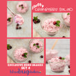 Semi - Exclusive Set 4 - Fluffy Cranberry Salad